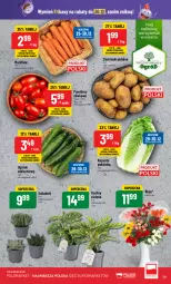Gazetka promocyjna PoloMarket - Gazetka pomocyjna - Gazetka - ważna od 30.12 do 30.12.2023 - strona 29 - produkty: Ogórek, Ziemniaki, Wazon, Bukiet, Pomidory, Sukulent