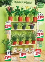 Gazetka promocyjna Dino - Gazetka - ważna od 25.03 do 25.03.2025 - strona 44 - produkty: Sok, Borówka, Borówka amerykańska