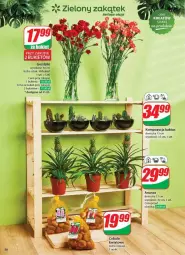 Gazetka promocyjna Dino - Gazetka - ważna od 25.03 do 25.03.2025 - strona 46 - produkty: Sok, Kaktus, Ananas, Bukiet