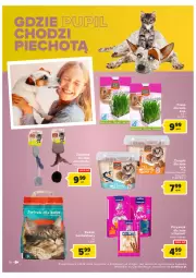 Gazetka promocyjna Carrefour - Gazetka Market - Gazetka - ważna od 24.09 do 24.09.2022 - strona 14 - produkty: Piec, Kurczak, Sos, Vitakraft, Chrupki, Zabawka, Przysmak dla kota