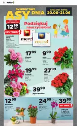 Gazetka promocyjna Netto - Od Czwartku - Gazetka - ważna od 26.06 do 26.06.2024 - strona 2 - produkty: Piwo, Róża, Kalanchoe, Storczyk, Bukiet, Merci