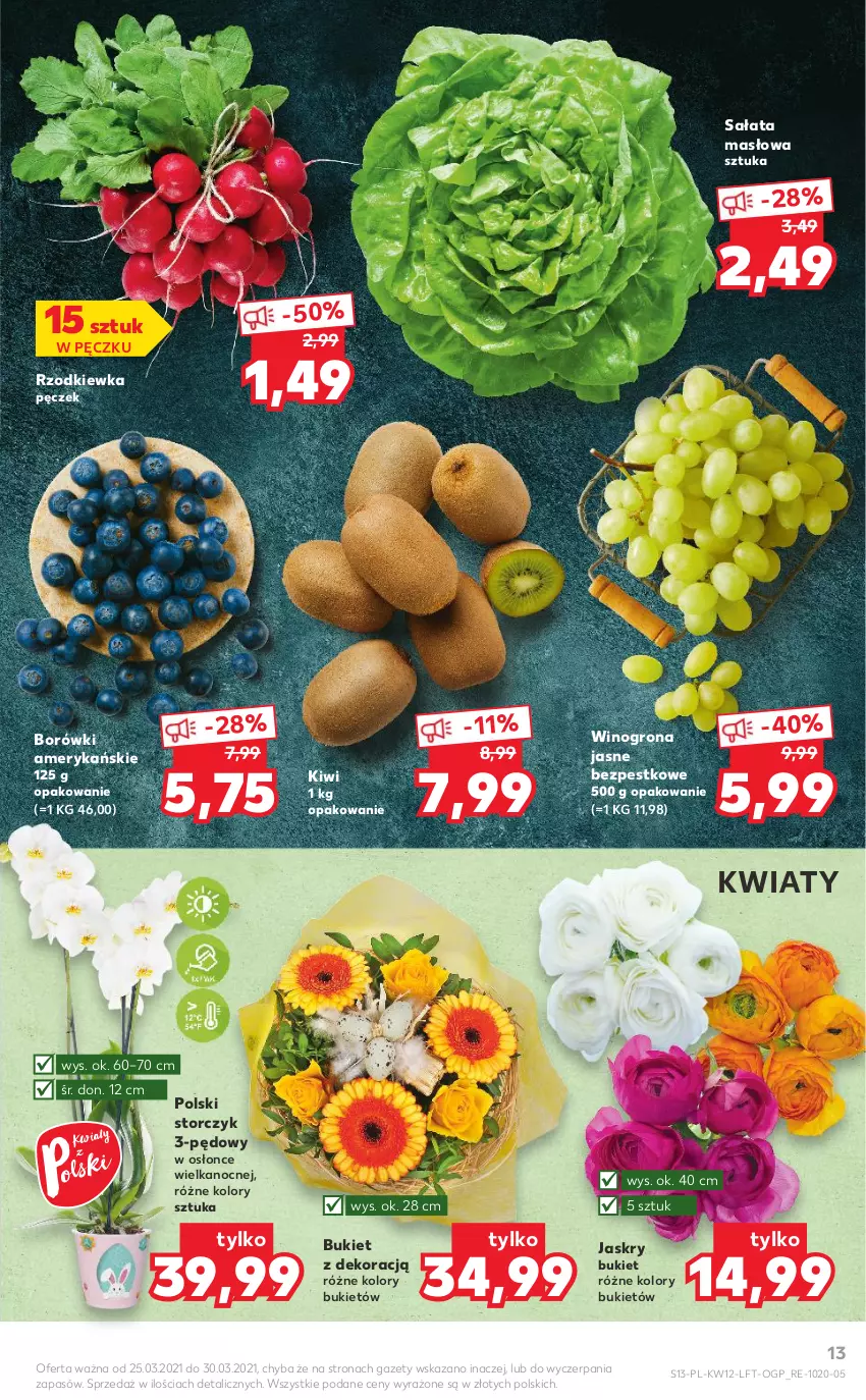 Gazetka promocyjna Kaufland - OFERTA TYGODNIA - ważna 25.03 do 30.03.2021 - strona 13 - produkty: Bukiet, Kiwi, Masło, Rzodkiewka, Sałat, Sałata masłowa, Storczyk, Wino, Winogrona