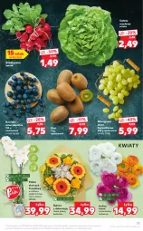 Gazetka promocyjna Kaufland - OFERTA TYGODNIA - Gazetka - ważna od 30.03 do 30.03.2021 - strona 13 - produkty: Sałata masłowa, Kiwi, Sałat, Storczyk, Winogrona, Bukiet, Wino, Masło, Rzodkiewka