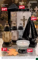 Gazetka promocyjna Stokrotka - Market - Gazetka - ważna od 23.09 do 23.09.2026 - strona 29 - produkty: Warzywa, Optima, Znicz, Owoce, Mięso
