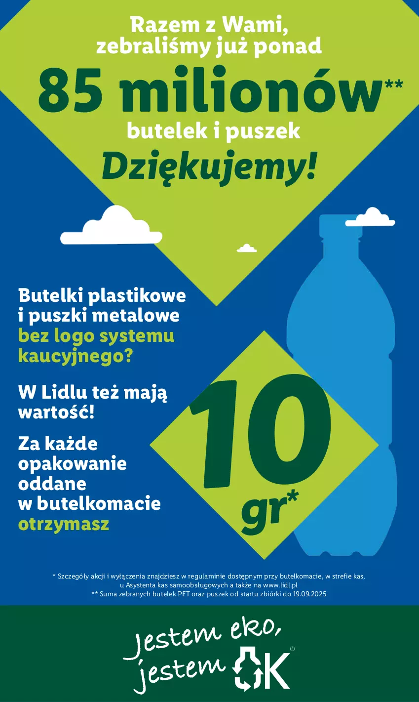 Gazetka promocyjna Lidl - GAZETKA - ważna 06.10 do 08.10.2025 - strona 51 - produkty: Lion