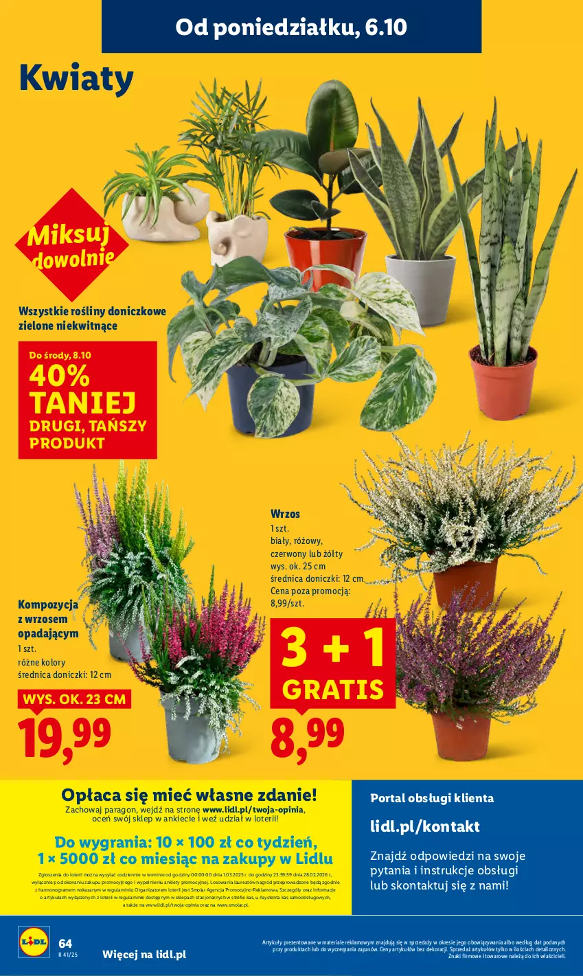 Gazetka promocyjna Lidl - GAZETKA - ważna 06.10 do 08.10.2025 - strona 66 - produkty: Gra, Laur, Mola, Por, Portal