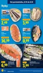 Gazetka promocyjna Lidl - GAZETKA - Gazetka - ważna od 08.10 do 08.10.2025 - strona 42 - produkty: Por, Pstrąg tęczowy, Grenadier, Tusz, Pstrąg