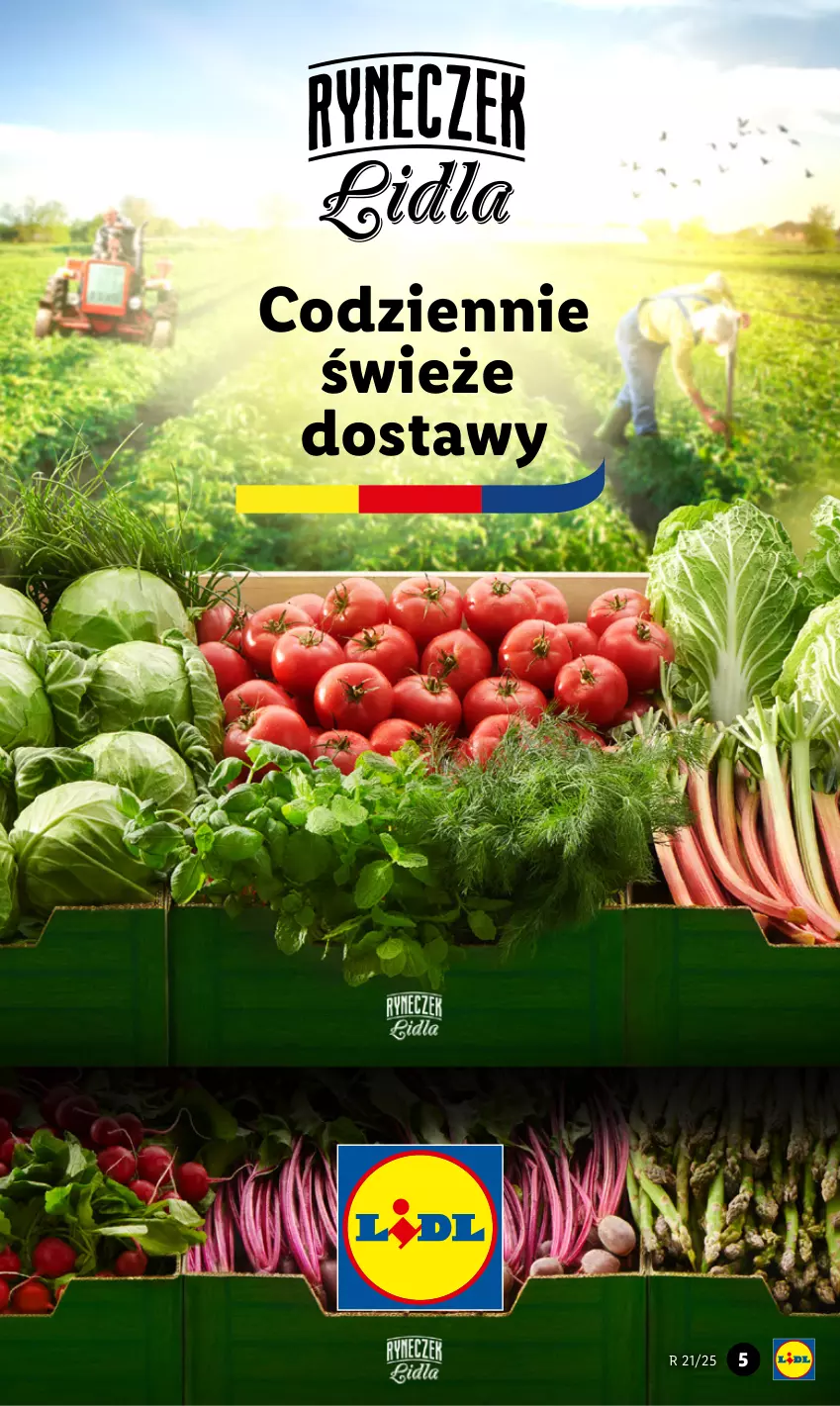 Gazetka promocyjna Lidl - GAZETKA - ważna 19.05 do 21.05.2025 - strona 5