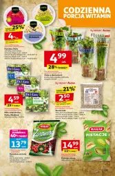Gazetka promocyjna Auchan - Pewność niskich cen Hipermarket - Gazetka - ważna od 12.11 do 12.11.2025 - strona 15 - produkty: Pistacje, Hummus, Mus, Pietruszka, Kolendra, Rukola, Sałat, Bazyl, Bazylia, Mięta
