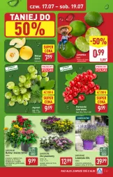 Gazetka promocyjna Aldi - Pełna oferta - Gazetka - ważna od 19.07 do 19.07.2025 - strona 27 - produkty: Sok, Por, Koc, Porzeczki czerwone, Limonka, Gres, Melon