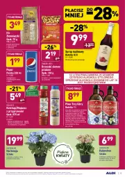 Gazetka promocyjna Aldi - ALE! CENA - Gazetka - ważna od 27.02 do 27.02.2021 - strona 25 - produkty: Piwa, Piwo, Majonez, Ketchup, Sos, Sok, Ser, Gin, Gra, Orzeszki, Kalanchoe, Tera, Pepsi, Pieprz, Napój gazowany, Syrop, Orzeszki ziemne, Napój