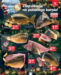 Gazetka promocyjna Selgros - Gazetka - ważna od 04.12 do 04.12.2024 - strona 23 - produkty: Karp, Fa