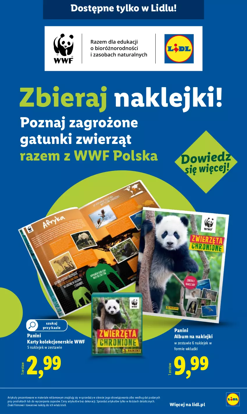 Gazetka promocyjna Lidl - GAZETKA - ważna 20.10 do 25.10.2025 - strona 55 - produkty: Album, Klej, Wkładki