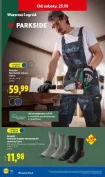 Gazetka promocyjna Lidl - GAZETKA - Gazetka - ważna od 25.10 do 25.10.2025 - strona 46 - produkty: Parkside, Karp, Ogród