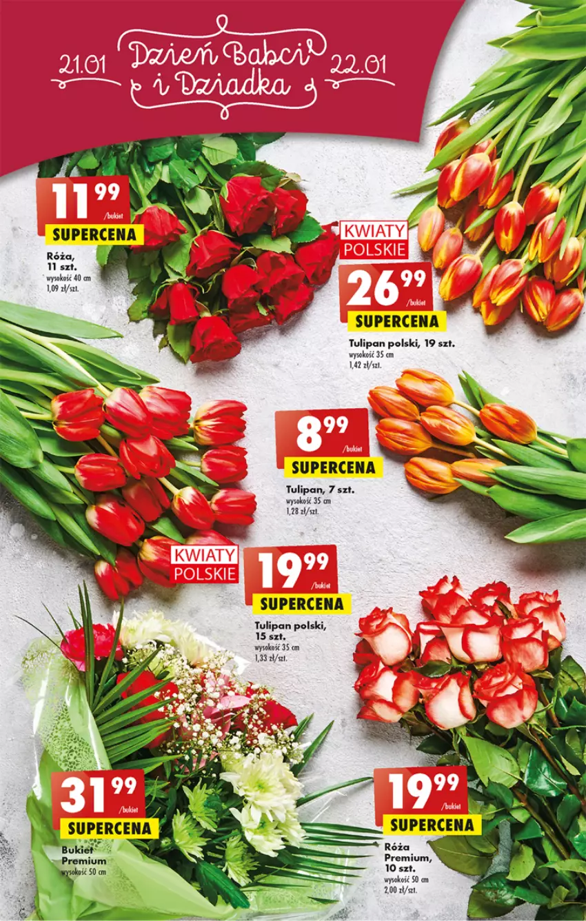 Gazetka promocyjna Biedronka - Gazetka - Biedronka.pl - ważna 19.01 do 25.01.2023 - strona 47 - produkty: Róża, Sok, Tulipan