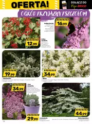 Gazetka promocyjna Bricomarche - Gazetka - Gazetka - ważna od 15.04 do 15.04.2023 - strona 13 - produkty: Gin, Bell, Sati, Lack, Popcorn, Rubin, Ogród