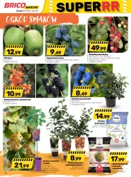 Gazetka promocyjna Bricomarche - Gazetka - Gazetka - ważna od 15.04 do 15.04.2023 - strona 14 - produkty: Por, Inka, Borówka, Borówka amerykańska, Kiwi, Dzieci, Gres, Ogród, Fa