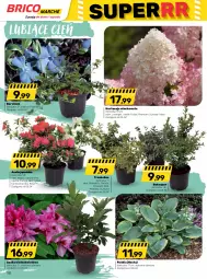 Gazetka promocyjna Bricomarche - Gazetka - Gazetka - ważna od 15.04 do 15.04.2023 - strona 18 - produkty: Cień