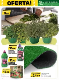 Gazetka promocyjna Bricomarche - Gazetka - Gazetka - ważna od 15.04 do 15.04.2023 - strona 21 - produkty: Pietruszka, Róża, , Bazyl, Bazylia, Nawóz, Mięta, Dywan