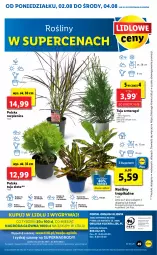 Gazetka promocyjna Lidl - GAZETKA - Gazetka - ważna od 04.08 do 04.08.2021 - strona 49 - produkty: Sok, Por, Gry, Cień, O nas, Mola