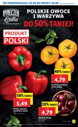Gazetka promocyjna Lidl - GAZETKA - Gazetka - ważna od 04.08 do 04.08.2021 - strona 5 - produkty: Warzywa, Papryka czerwona, Papryka, Owoce, Pomidory
