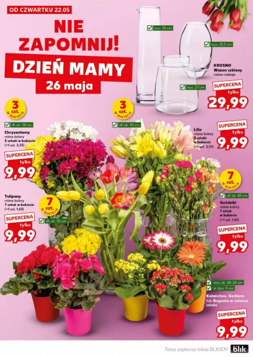 Gazetka promocyjna Kaufland - ważna 24.05 do 24.05.2025 - strona 55 - produkty: Tulipan