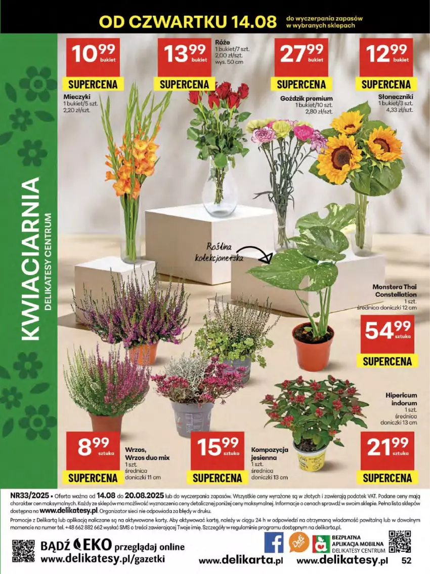 Gazetka promocyjna Delikatesy Centrum - Franczyza DC33 Czwartek - ważna 14.08 do 20.08.2025 - strona 52 - produkty: Bukiet, Gra, Miecz, Rum, Tera