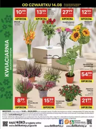 Gazetka promocyjna Delikatesy Centrum - Franczyza DC33 Czwartek - Gazetka - ważna od 20.08 do 20.08.2025 - strona 52 - produkty: Rum, Gra, Tera, Bukiet, Miecz