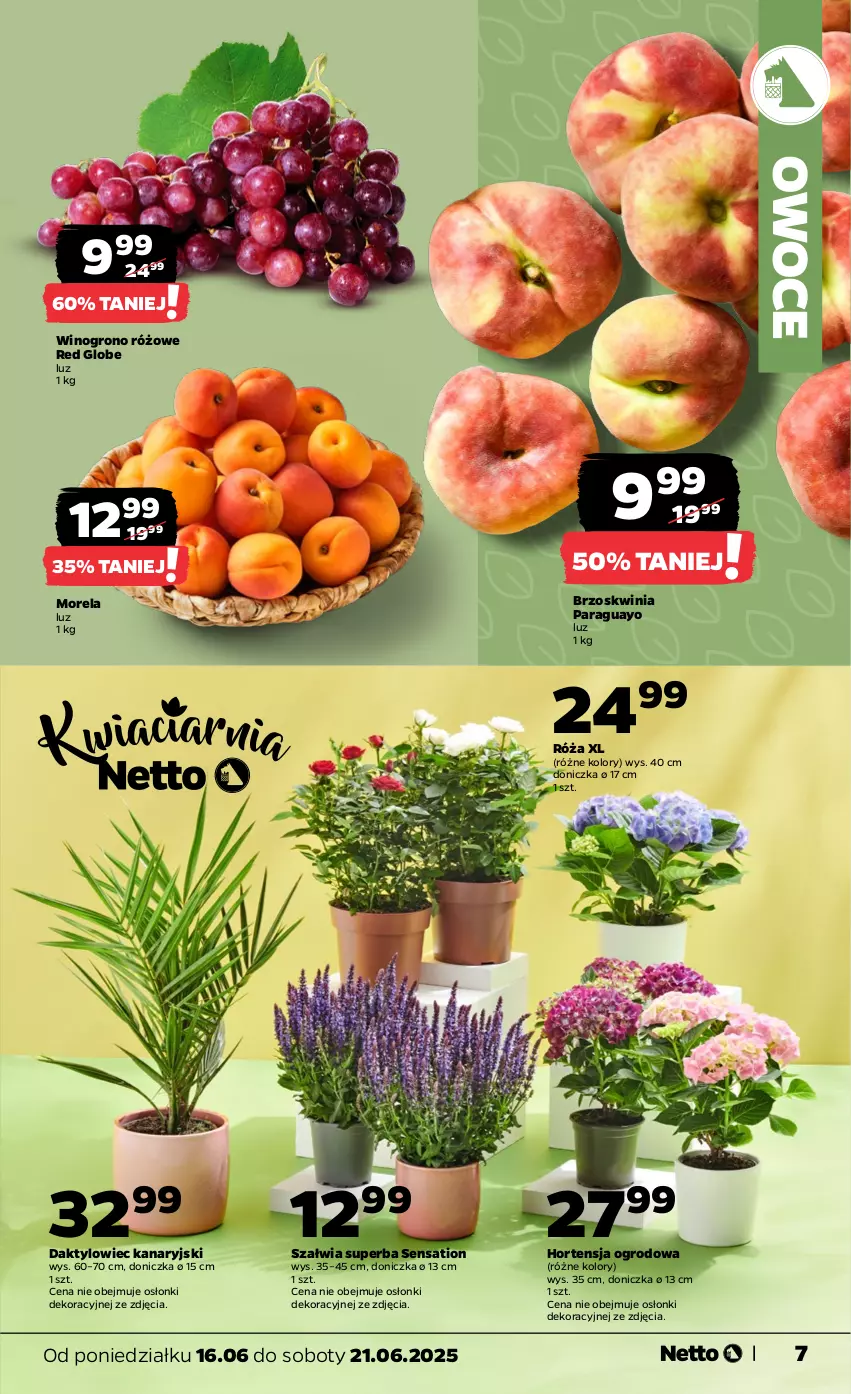 Gazetka promocyjna Netto - Od Poniedziałku - ważna 16.06 do 21.06.2025 - strona 7 - produkty: Morela, Owoce, Róża, Sati, Wino