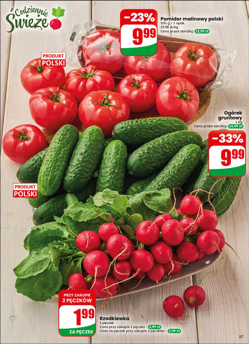 Gazetka promocyjna Dino - Gazetka 16 / 2026 - ważna 15.04 do 21.04.2026 - strona 37 - produkty: Grunt, Ogórek, Pomidor malinowy, Rzodkiewka