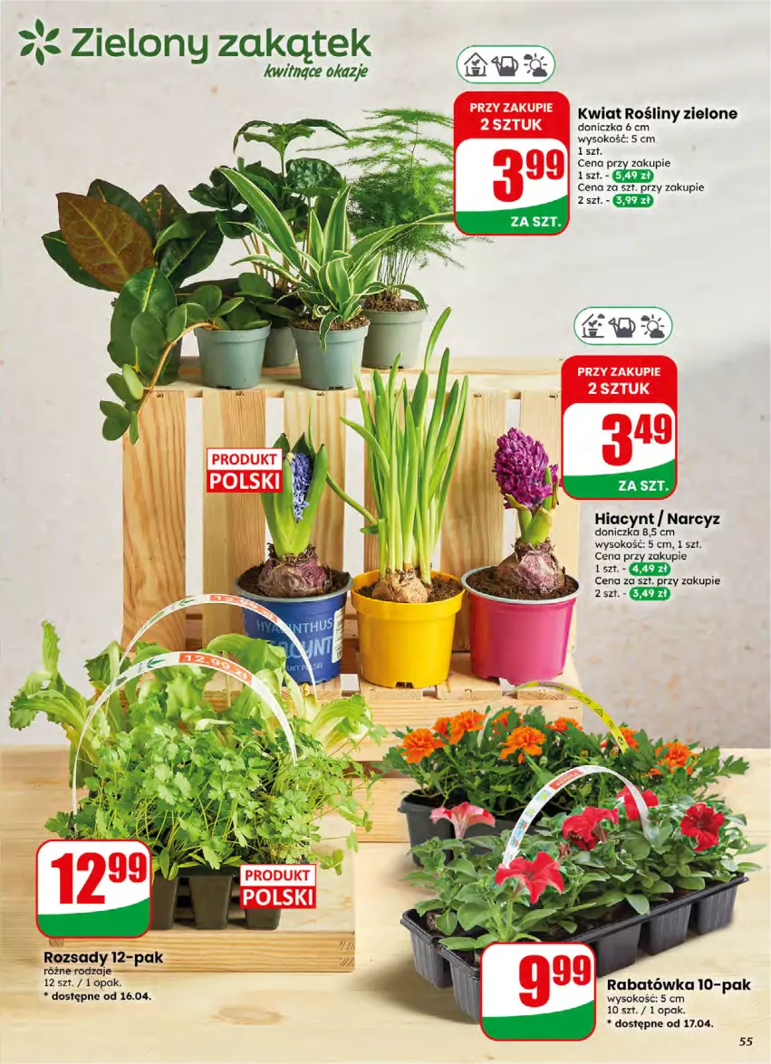 Gazetka promocyjna Dino - Gazetka 16 / 2026 - ważna 15.04 do 21.04.2026 - strona 55 - produkty: Hiacynt, Narcyz, Sok