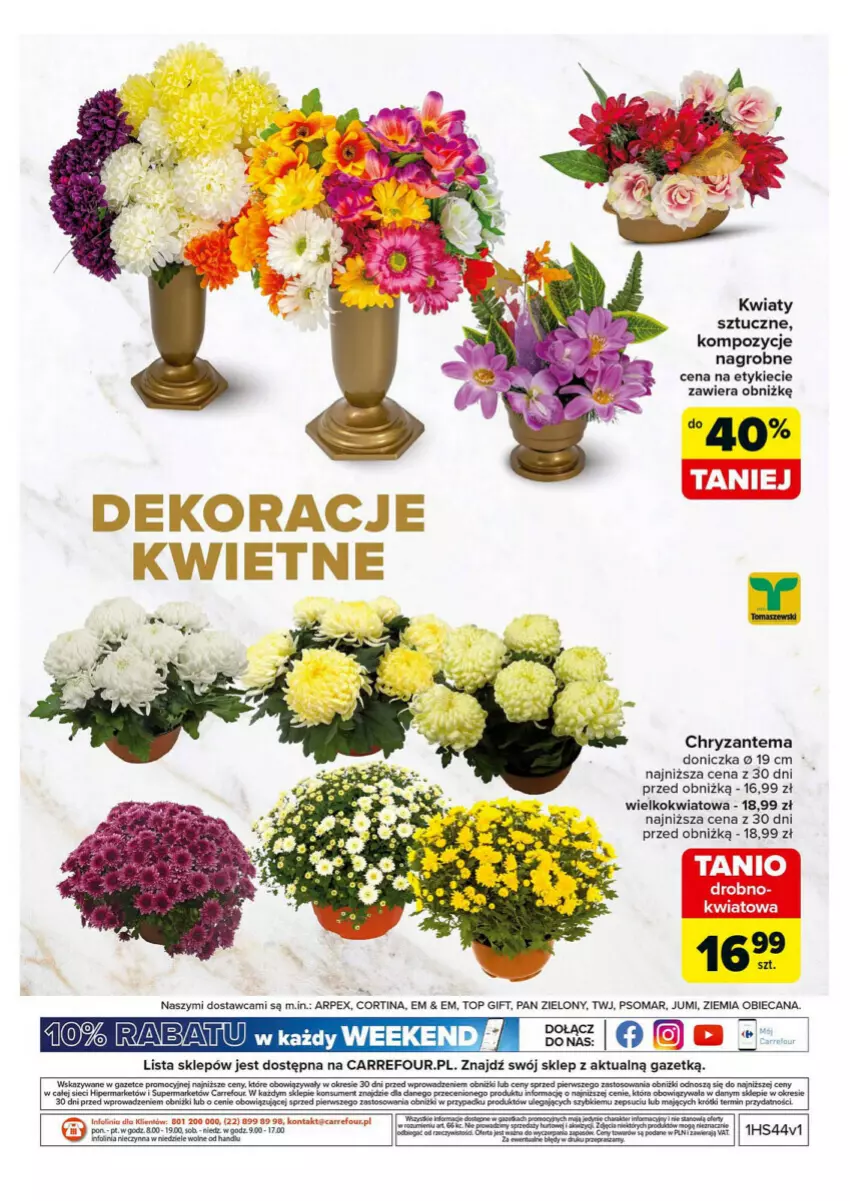 Gazetka promocyjna Carrefour - ważna 28.10 do 02.11.2024 - strona 43 - produkty: Chryzantema, HP, Taca