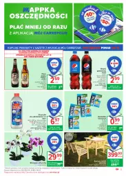 Gazetka promocyjna Carrefour - Gazetka Market - Gazetka - ważna od 29.05 do 29.05.2021 - strona 3 - produkty: Piwa, Piwo, Gra, Stół, Kosz, Kret, Pepsi, Storczyk, Napój gazowany, Fotel, Napój, Kozel