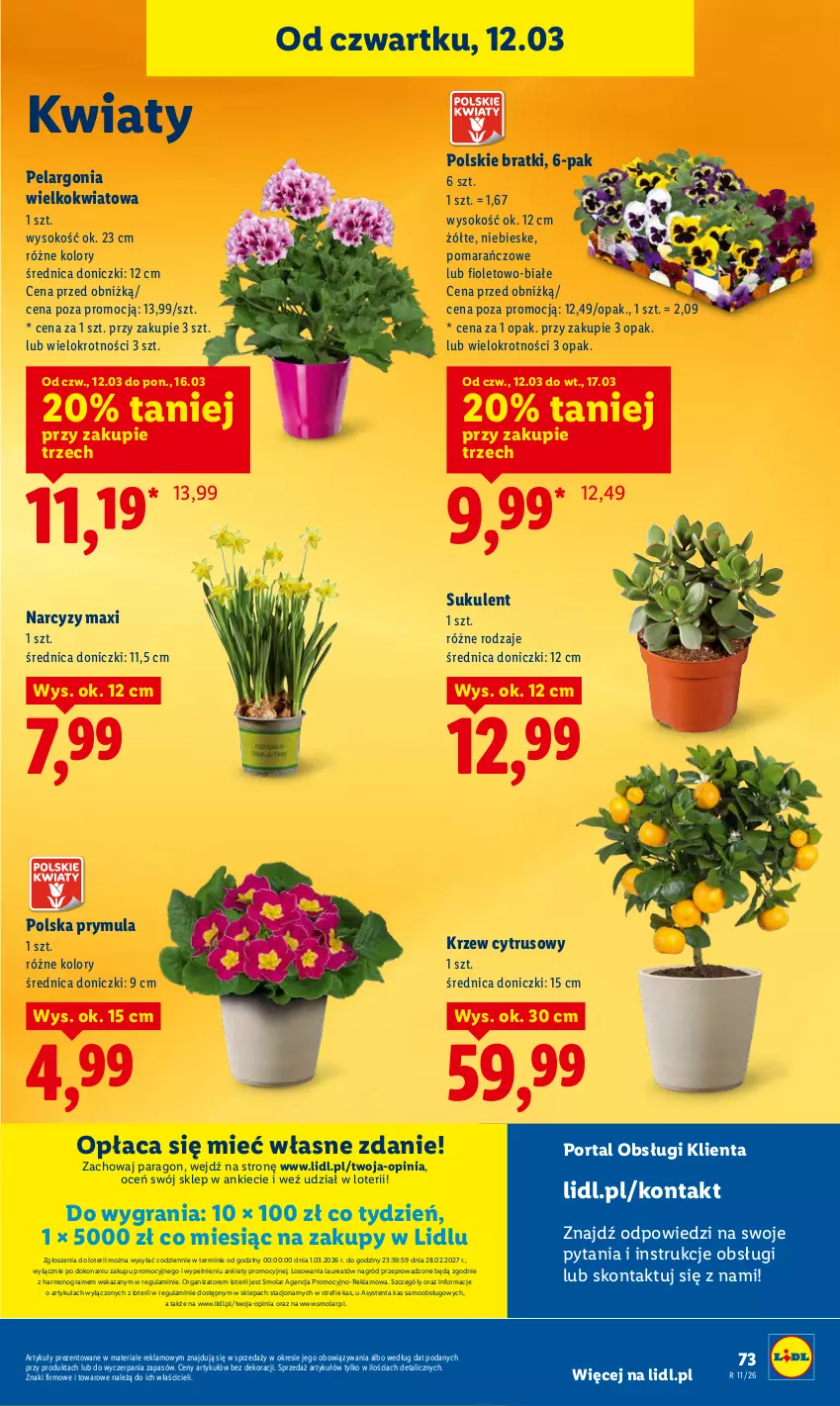 Gazetka promocyjna Lidl - GAZETKA - ważna 12.03 do 14.03.2026 - strona 75 - produkty: Gra, Laur, Mola, Narcyz, Por, Portal, Prymula, Sok, Sukulent