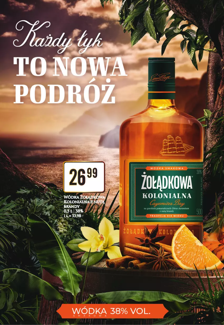 Gazetka promocyjna Dino - Katalog alkoholowy 19-24.02 - ważna 19.02 do 24.02.2024 - strona 8 - produkty: Brandy, Wódka