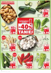 Gazetka promocyjna Kaufland - Gazetka tygodnia - Gazetka - ważna od 19.02 do 19.02.2025 - strona 14 - produkty: Piec, Warzywa, Pietruszka, Papryka, Ziemniaki, Sałat, Szpic, Owoce, Seler naciowy, Grunt