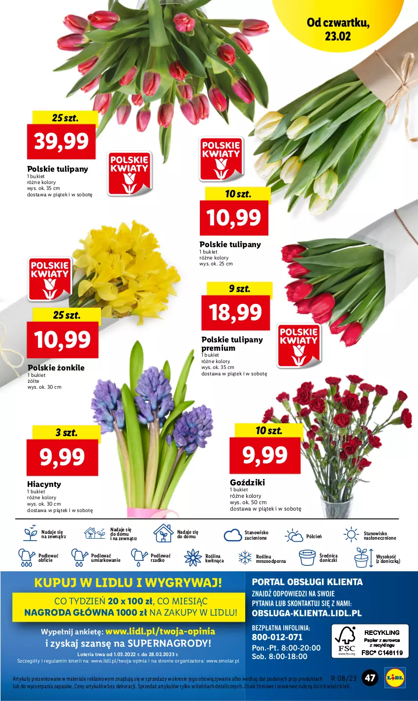 Gazetka promocyjna Lidl - GAZETKA - ważna 23.02 do 25.02.2023 - strona 47 - produkty: Bukiet, Cień, Gry, Hiacynt, Mola, O nas, Por, Sok, Tulipan