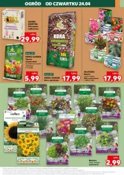 Gazetka promocyjna Kaufland - Kaufland - Gazetka - ważna od 27.04 do 27.04.2025 - strona 17 - produkty: Sok, Kora ogrodowa, Roszponka, Papryka, Sałat, Prima, Bazyl, Bazylia, Nawóz