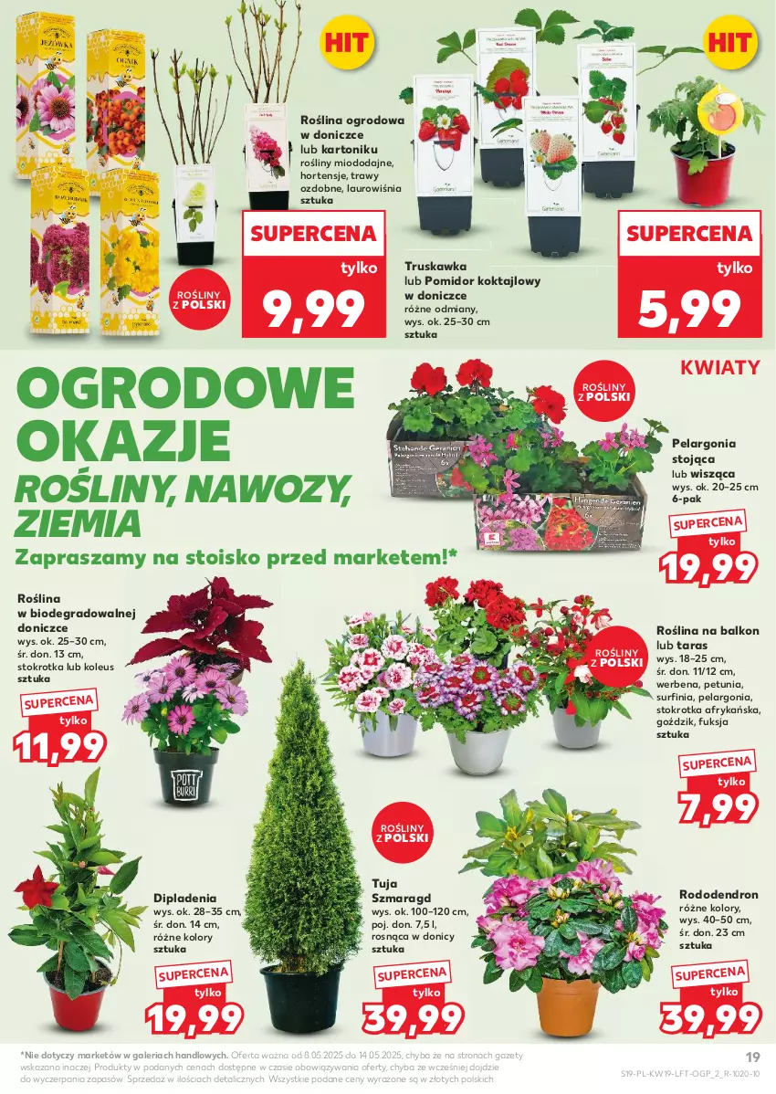 Gazetka promocyjna Kaufland - Gazetka tygodnia - ważna 08.05 do 14.05.2025 - strona 19 - produkty: Gra, Laur, Surf, Tonik