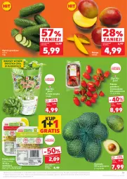 Gazetka promocyjna Kaufland - Gazetka tygodnia - Gazetka - ważna od 14.05 do 14.05.2025 - strona 17 - produkty: Gra, Kiełki, Bazyl, Bazylia, Grunt, Mango, Pomidory