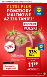 Gazetka promocyjna Lidl - GAZETKA - Gazetka - ważna od 27.02 do 27.02.2021 - strona 27 - produkty: Leon, Pomidory, LG
