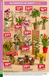Gazetka promocyjna Stokrotka - Supermarket - Gazetka - ważna od 11.03 do 11.03.2026 - strona 14 - produkty: Warzywa, Tulipan, Kosz, Wazon, Optima, Storczyk, Bukiet, Owoce, Mięso