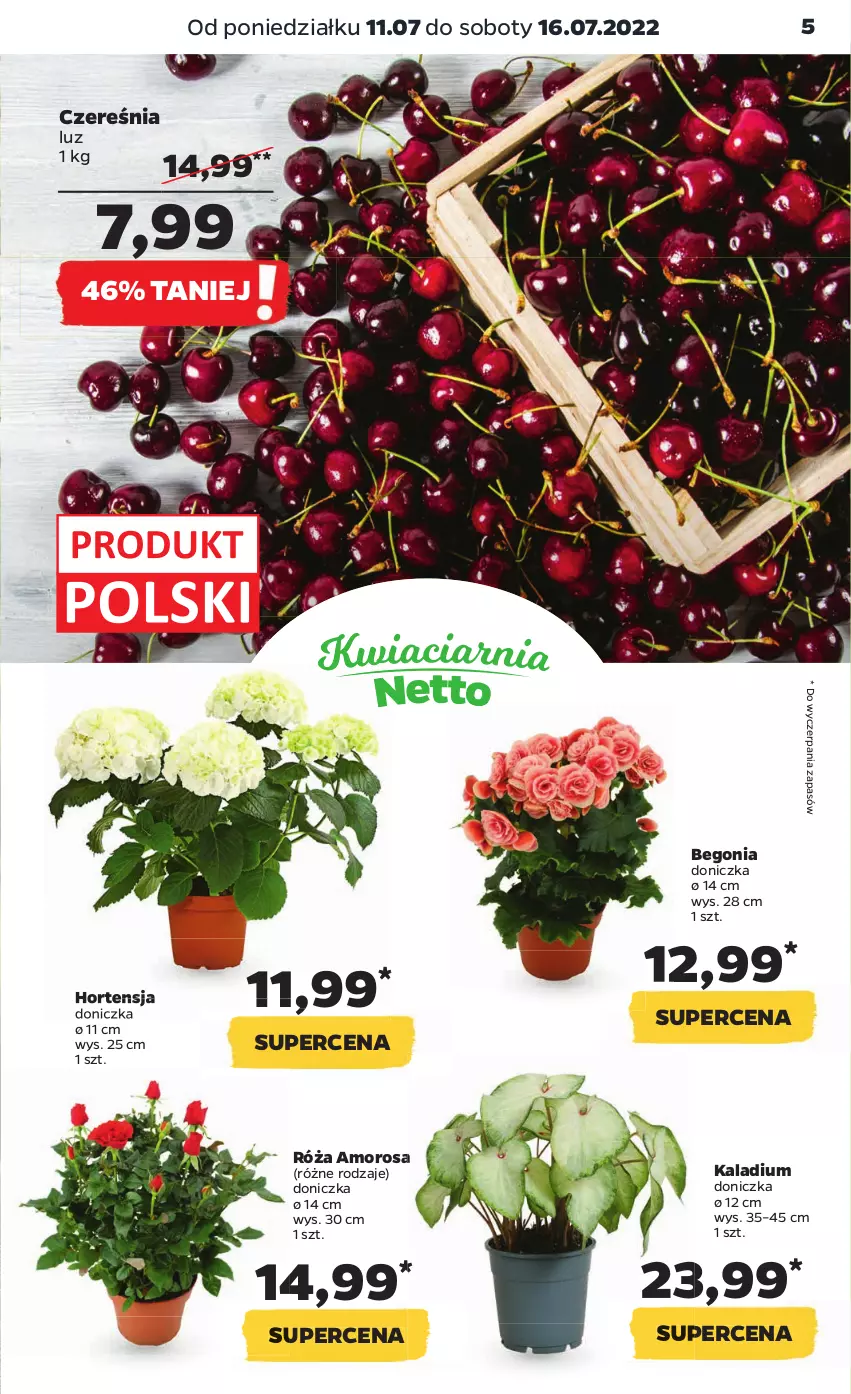 Gazetka promocyjna Netto - Artykuły spożywcze - ważna 11.07 do 16.07.2022 - strona 5 - produkty: Róża
