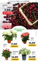 Gazetka promocyjna Netto - Artykuły spożywcze - Gazetka - ważna od 16.07 do 16.07.2022 - strona 5 - produkty: Róża