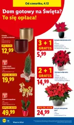 Gazetka promocyjna Lidl - GAZETKA - Gazetka - ważna od 07.12 do 07.12.2025 - strona 70 - produkty: Sok, Gra, Papier, Gwiazda, Storczyk, Osłonka