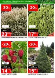 Gazetka promocyjna Merkury Market - Dni ogrodu - Gazetka - ważna od 24.03 do 24.03.2024 - strona 3 - produkty: Sok, Gra, Jeżyny, Maliny