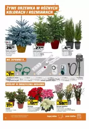 Gazetka promocyjna Obi - Gazetka OBI - Gazetka - ważna od 26.12 do 26.12.2021 - strona 14 - produkty: Gra, Cyprysik, Rama, Poinsecja, Kask, Storczyk