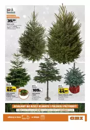 Gazetka promocyjna Obi - Gazetka OBI - Gazetka - ważna od 26.12 do 26.12.2021 - strona 15 - produkty: Choinka, Inka, Stojak, Kask