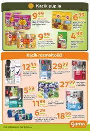 Gazetka promocyjna Gama - Gazetka Gama - Gazetka - ważna od 06.07 do 06.07.2024 - strona 9 - produkty: Piec, Domestos, Mop, Papier, Rexona, Dezodorant, Whiskas, Worki na śmieci, KiteKat, Ręcznik, Kostka do wc, Worki na śmiec, Pedigree