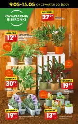 Gazetka promocyjna Biedronka - Od Środy - Gazetka - ważna od 18.05 do 18.05.2024 - strona 59 - produkty: Hama, Chia, Mule
